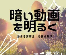同時購入価格・動画の色調補正、タイトルお入れします 色味の悪い動画の色調補正します【サムネイル同時依頼特別価格】