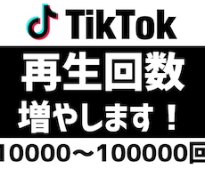TikTokの再生回数UP！宣伝・拡散します イメージ1
