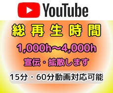 収益化可能！ YouTube再生時間増やします 1000h～4000h/減少保証付【期間限定割引セール実施】