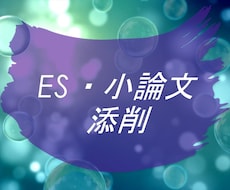 ツール付きノウハウ集＋ES（小論文）添削します イメージ1