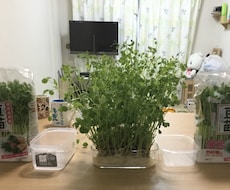 家庭とマネープランの相談に乗ります イメージ1