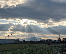 今のお給料で満足出来ていますか？副業ご紹介します 副業をご紹介します！気軽にご相談くださいお仕事のご相談も