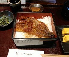 旅行会社への就職活動、相談受けます イメージ1
