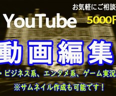 YouTube動画編集行います 文字起こし、テロップ挿入、効果音、イラスト挿入