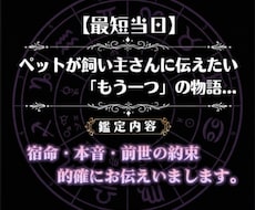 ホロスコープでペットの本音・宿命・前世を鑑定します イメージ1