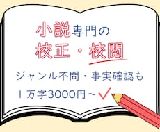 打倒、凡ミス！同人小説・創作小説を校正・校閲します イメージ1