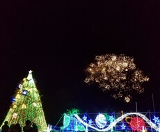 占います 恋愛・対人・友人…少しでもお力になればいいな☆