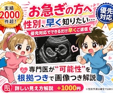 お急ぎの方！納期指定で性別予測、エコー解説をします 性別予測、エコー解説について納品日ご指定のある方はこちら！