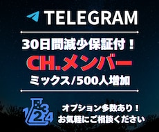 Telegram500人増加サポートします イメージ1