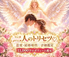 二人のトリセツ♡恋愛結婚相性約11000字占います 性格や恋愛傾向＆相性プラスとマイナス面♡改善策付♡片思いOK