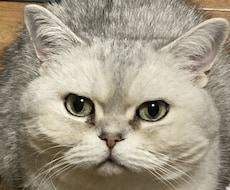 あなたの話し相手をさせていただきます イメージ1
