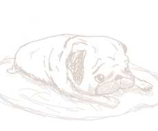 愛犬、ペットのイラスト描きます ペットが大好きな方におすすめです