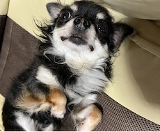 あなたの心に優しく寄り添いお話しを伺います イメージ1