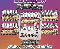 インスタグラムのフォロワー数を増やします イメージ1