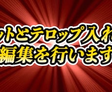 動画のカットとテロップ入れ承ります ご希望に合わせたカットとテロップ入れを行います