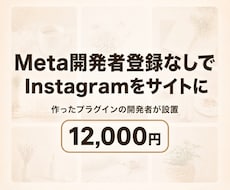 WPにInstagram投稿を表示します イメージ1