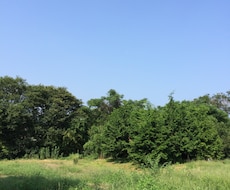 相手の気持ちが知りたい…タロットで気持ちを覗いてみましょう。