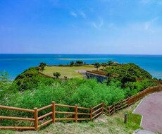 写真撮影、動画撮影代行致します イメージ1