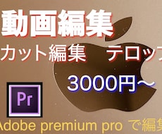カット作業で動画編集します イメージ1