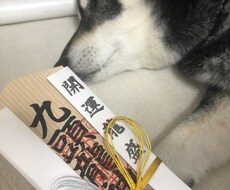 些細な悩みも、エネルギーを読み取りアドバイスします イメージ1