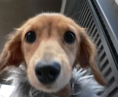 生き物に関する相談、悩みを解決します！ イメージ1