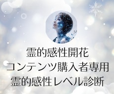 霊的感性開花コンテンツ【購入者専用】鑑定します 霊的感性レベル診断＆個別フォローアップ鑑定