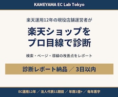 楽天ショップの改善点を現役店長が診断します イメージ1