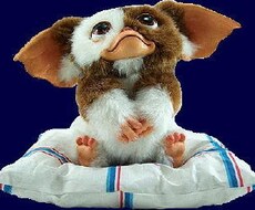 夜にまったりお話します イメージ1