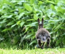 北海道各地の写真を提供致します イメージ1