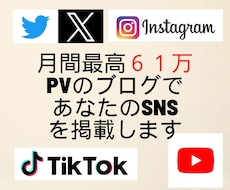 最高月61万PVブログでSNSを掲載し宣伝します X(Twitter)、Instagram、tiktokなど