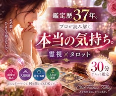 霊視×タロット30分チャットで彼の本音を鑑定します 鑑定歴37年。プロが読み解く、本当の気持ち。