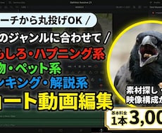 ショート動画、tiktokの動画編集受け付けます リサーチから丸投げOK！海外おもしろショート動画を編集！