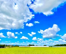 誰かと繋がりたい！誰かに聞いて欲しい！寄り添います イメージ1