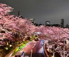 恋のお話聞きます イメージ1