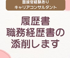 履歴書・職務経歴書を添削します イメージ1