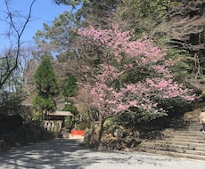 恋愛で悩んだでいる話をききます イメージ1