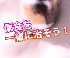 偏食を治すお手伝いします イメージ1