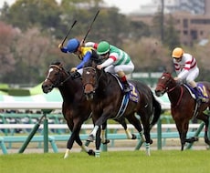 競輪、競馬、予想します