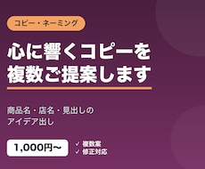 キャッチコピー・ネーミング案を考えます イメージ1