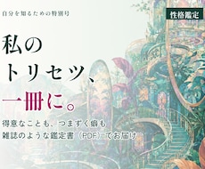 私のトリセツを一冊の鑑定書にします イメージ1
