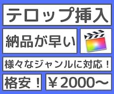 YouTube等用の動画にテロップを挿入します 格安！面倒な作業であるテロップ挿入を代行します！
