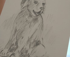 1級ネイリストが描く愛犬愛猫の鉛筆画ハガキ作ります イメージ1