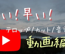 カットやテロップなど簡単な動画編集を安価で承ります イメージ1