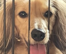 どんな相談でも対応します イメージ1