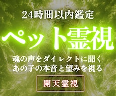 高次元開天霊視｜あなたの大事な家族の想いを視ます イメージ1