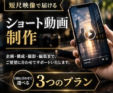 素材を活かしてコスト減！ショート動画編集します イメージ1