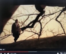 動画編集行います イメージ1