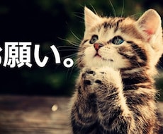 貴方の相談全般を請け負います イメージ1