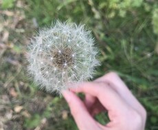 誰かに言いたいこと、嬉しかったことなんでも聴きます イメージ1