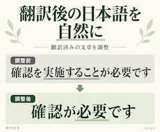翻訳済みの文章を自然な日本語に整えます イメージ1